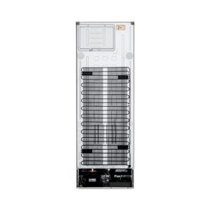 306(L) | LG Bottom Freezer Fridge | GC-B369NLJM| Smart Inverter Compressor | LINEARCooling™ | Door Cooling+™ - Image 4
