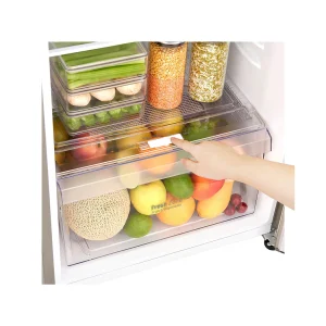 327(L) | Top Freezer Refrigerator |Smart Inverter Compressor - Image 6