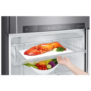 509(L) | Top Freezer Refrigerator | Inverter Linear Compressor - Image 12