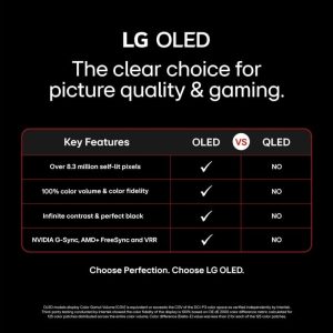 LG TV (65) OLED 4K - Image 8