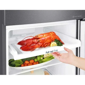 254(L) | Top Freezer Refrigerator | Smart Inverter Compressor - Image 4